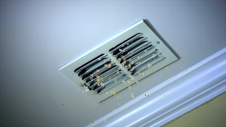 Best Air Duct Sanitizing Services  in Oakland Park, FL